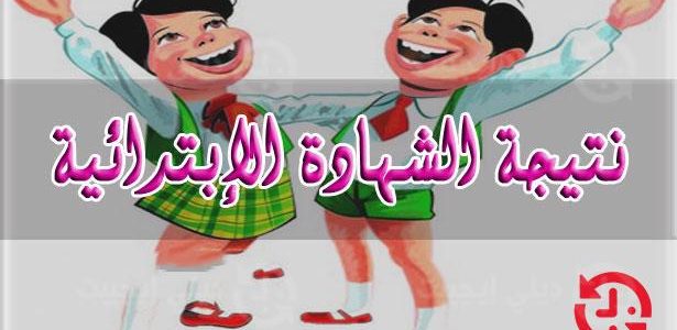 الابتدائية محافظة البحر الأحمر